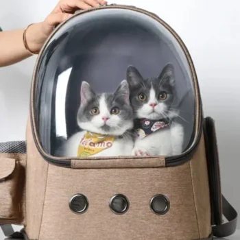 pet-travel-accessories-cat